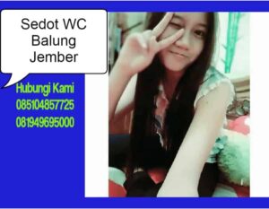 Sedot WC Balung Jember